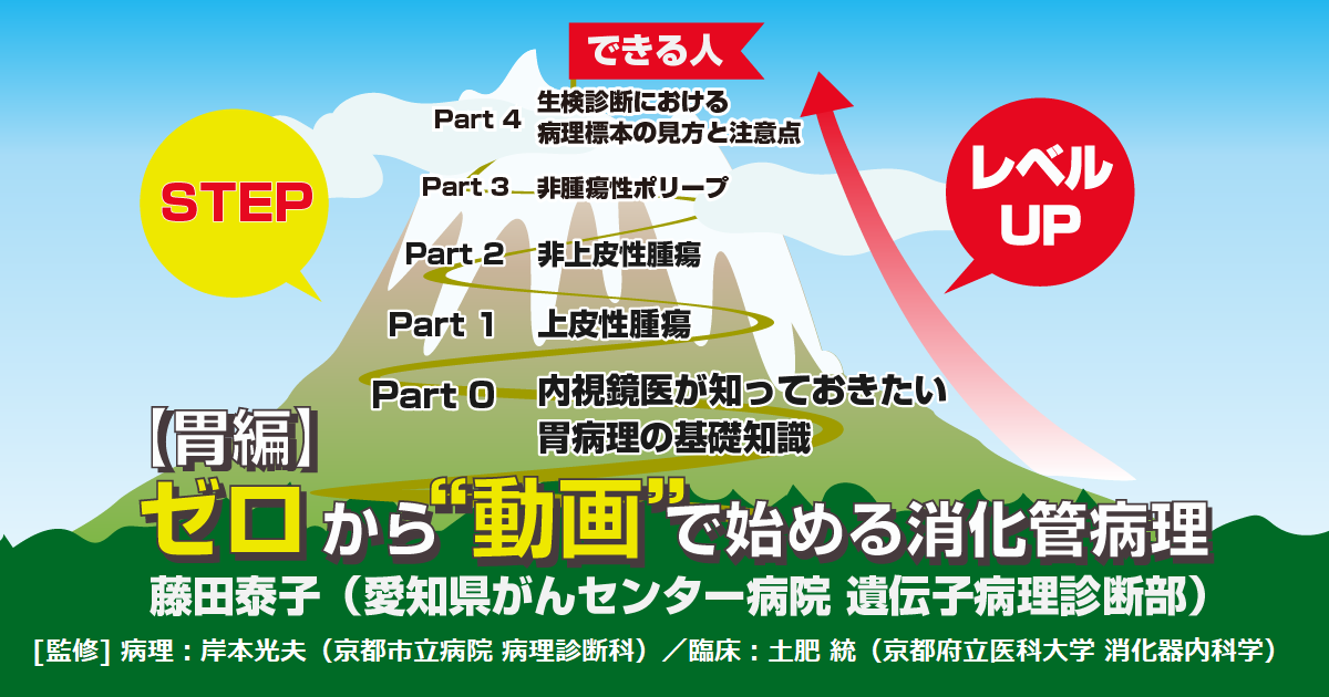 Part 0–IV 病理像から理解する病変の局在<br>～粘膜下腫瘍と“上皮下腫瘍”は何が違うの？～<br>藤田泰子（愛知県がんセンター病院 遺伝子病理診断部）<br>[監修]<病理>岸本光夫（京都市立病院 病理診断科）<br>[監修]<臨床>土肥 統（京都府立医科大学 消化器内科学）