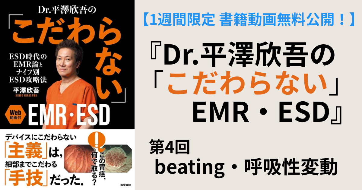 第4回　beating・呼吸性変動