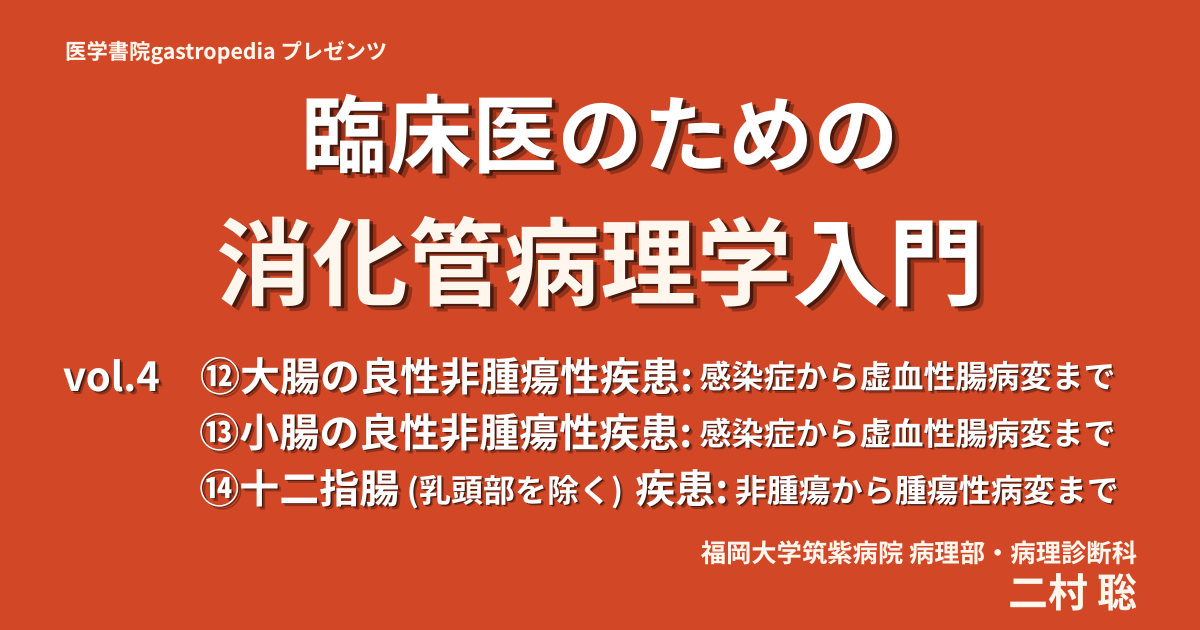 [有料動画コンテンツ]　臨床医のための消化管病理学入門　vol.4　⑫大腸の良性非腫瘍性疾患：感染症から虚血性腸病変まで／⑬小腸の良性非腫瘍性疾患：感染症から虚血性腸病変まで／⑭十二指腸 (乳頭部を除く)疾患：非腫瘍から腫瘍性病変まで　二村 聡（福岡大学筑紫病院病理部・病理診断科）（GAS20260716-4）