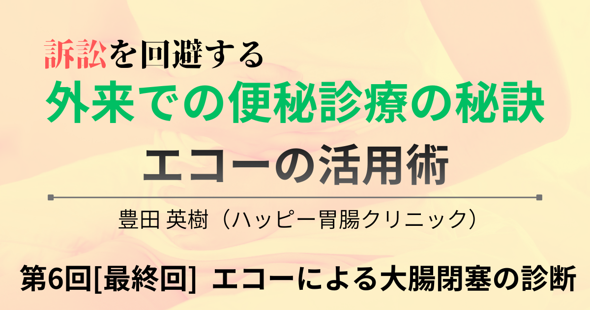 訴訟を回避する外来での便秘診療の秘訣：エコーの活用術　豊田英樹（ハッピー胃腸クリニック）