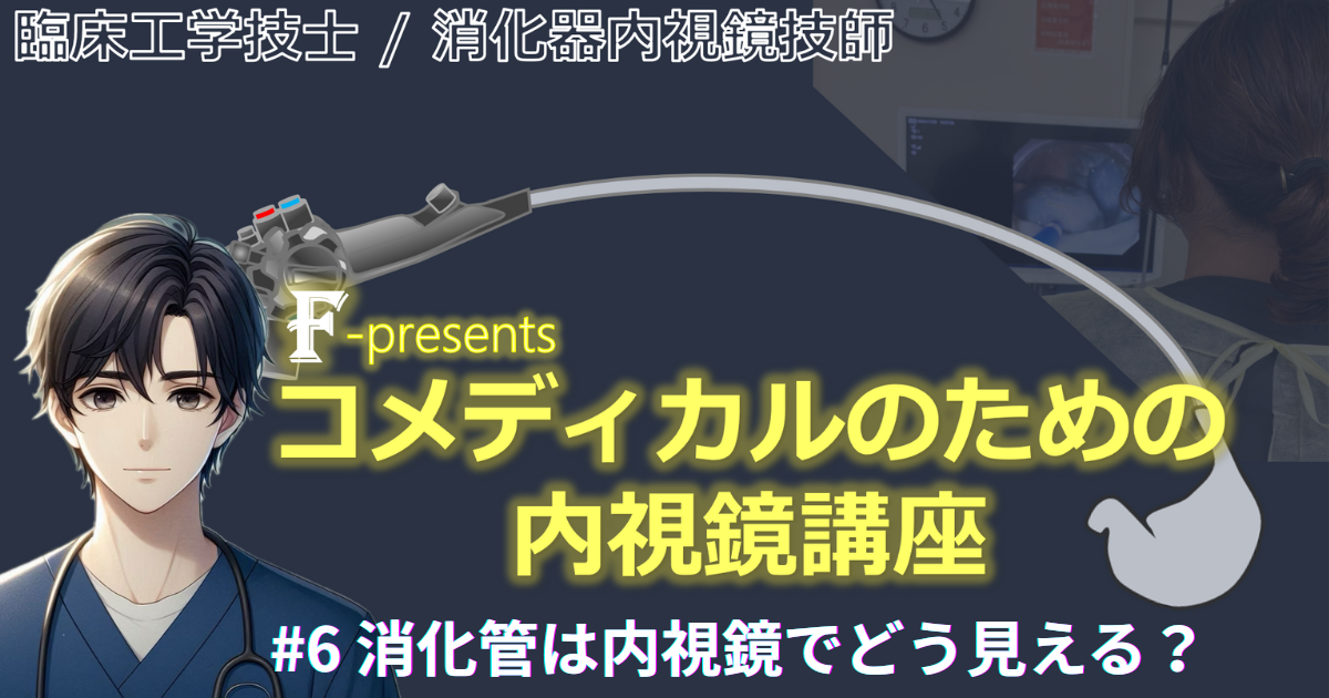 臨床工学技士/消化器内視鏡技師 F-presents コメディカルのための内視鏡講座　#6 消化管は内視鏡でどう見える？