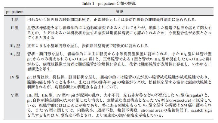 Table 1　pit pattern 分類の解説