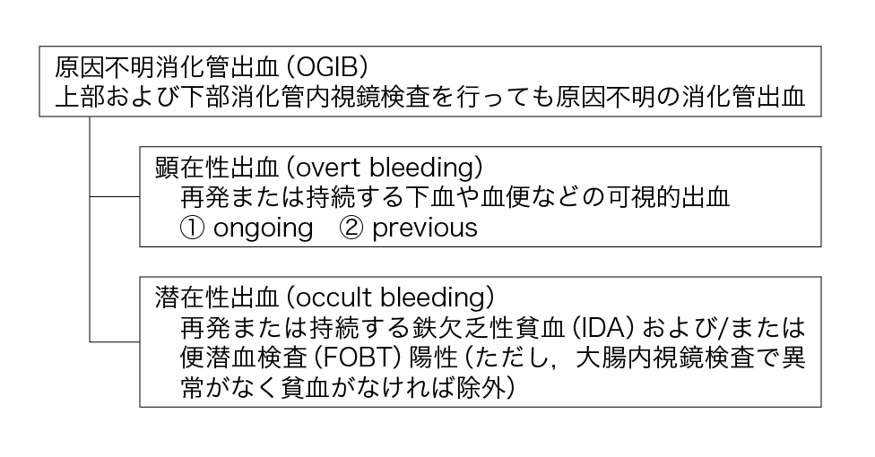 Fig. 1　本邦における原因不明消化管出血（OGIB）の定義．OGIB : obscure gastrointestinal bleeding ,IDA : iron deficiency anemia , FOBT : fecal occultblood testing.
〔第5 回カプセル内視鏡の臨床応用に関する研究会2010（東京）・日本カプセル内視鏡研究会用語委員会により作成〕