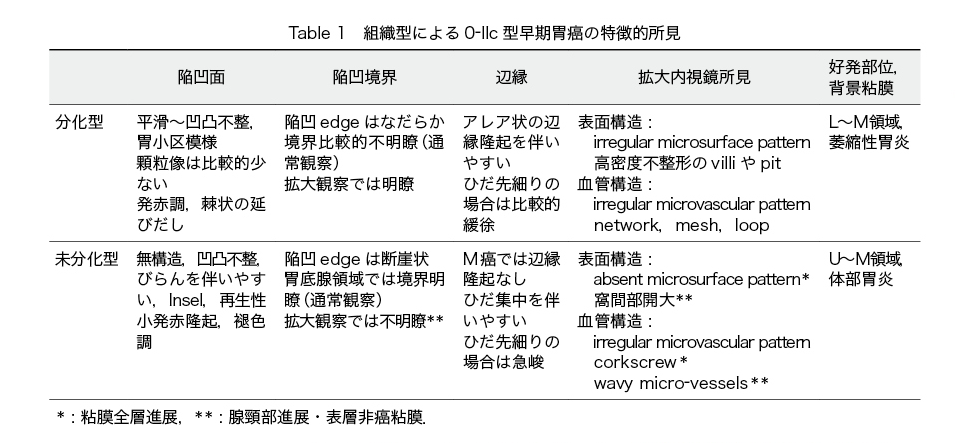 Table 1　組織型による0-IIc 型早期胃癌の特徴的所見